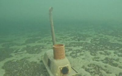 Antauchen Werbellinsee 2025