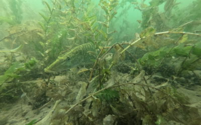 Rückblick Saison 2025